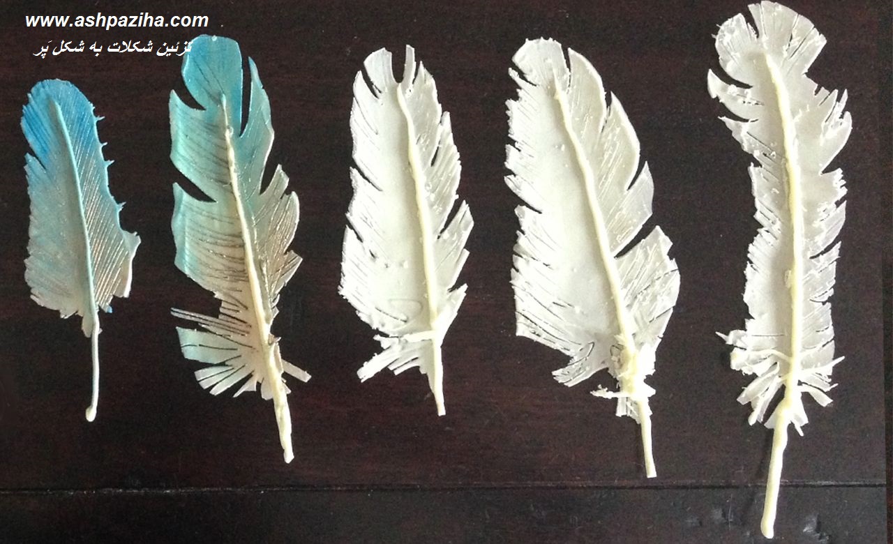 Training - Video - decorating - Chocolate - to - shape - bird feathers (3)