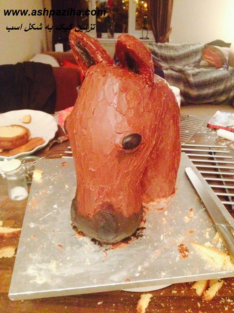 Training - Video - decorating - cake - in - Figure - horse (6)