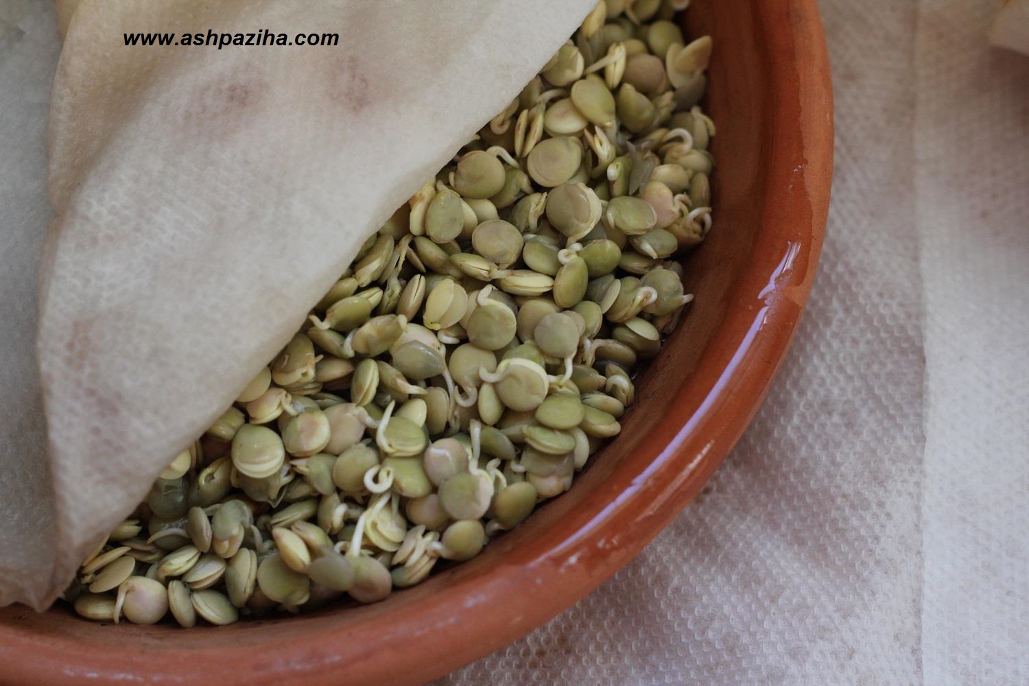 Training - video - how - green - the - Lentils - Special - Spring (3)