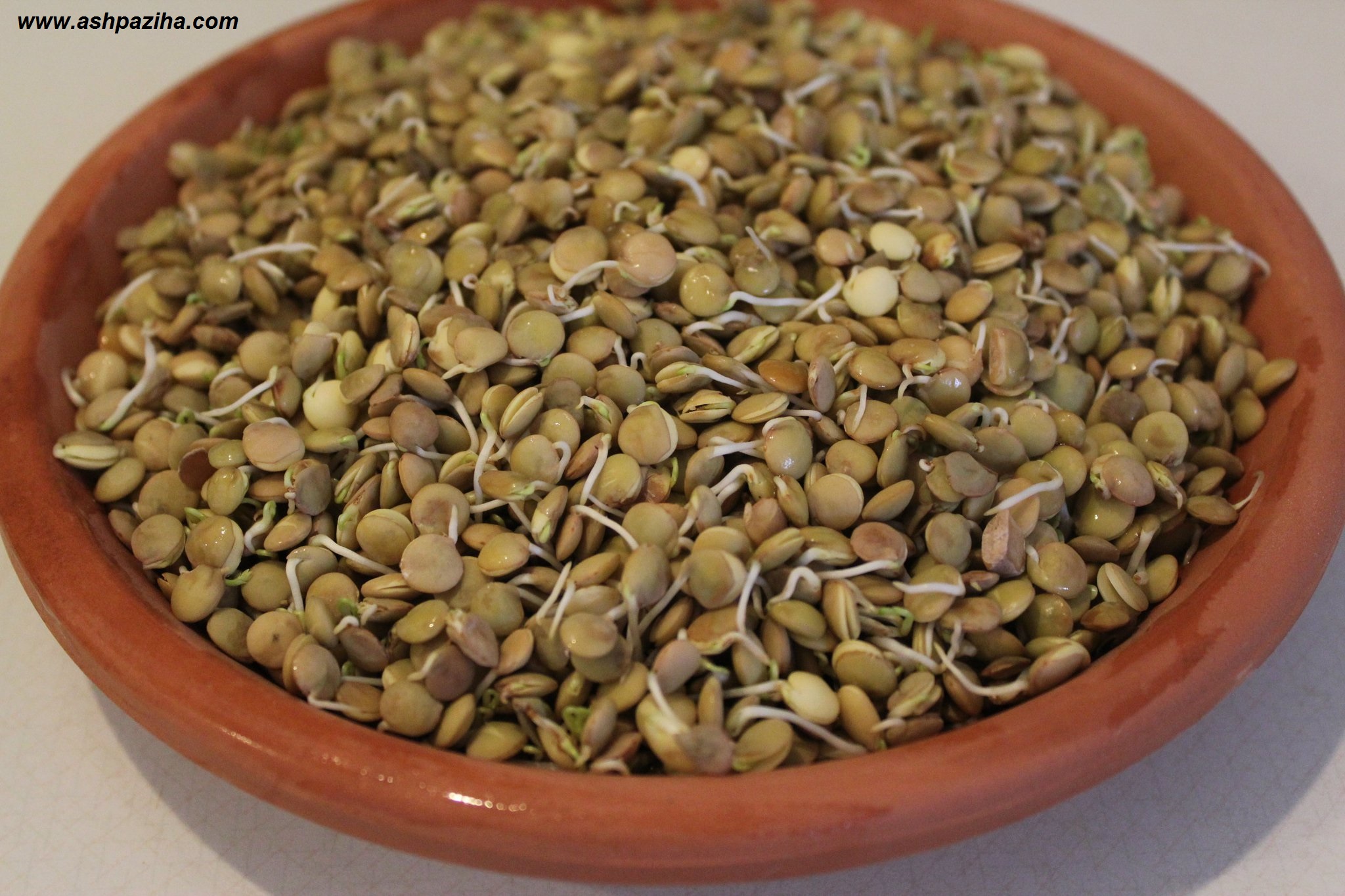 Training - video - how - green - the - Lentils - Special - Spring (4)