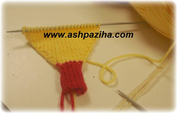 Train-weaving-fish-color-with-woolen-image (5)