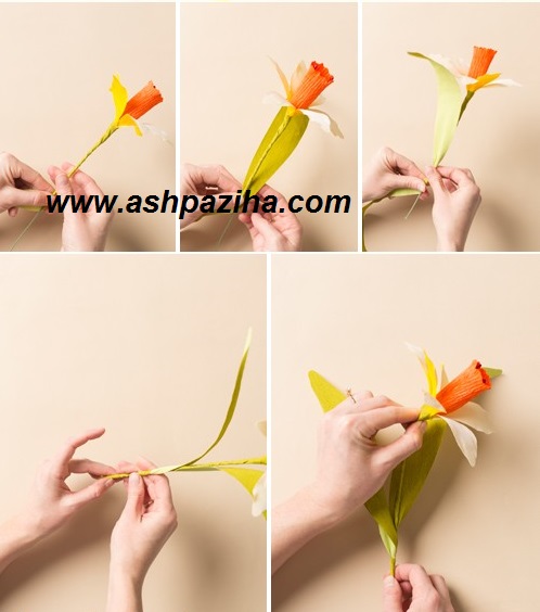 Training - image - flowers - narcissus - to - paper (8)