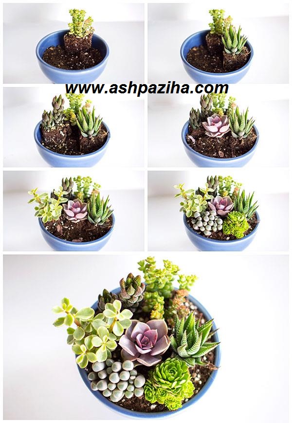 Training-decorated-pot-cactus-image (6)