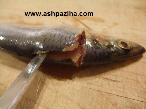 Education-cut -, - chopped-up-and-fillet-a-fish (3)