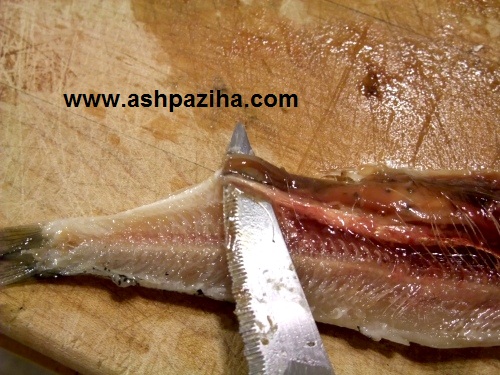 Education-cut -, - chopped-up-and-fillet-a-fish (6)
