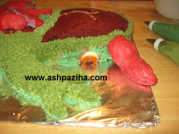 Training - Video - decorated - cakes - birth - to - the - home (5)