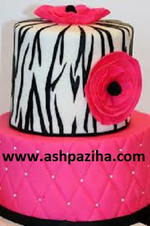 Decoration - cakes - Zebra - for - night - if Yalda 2016 (3)