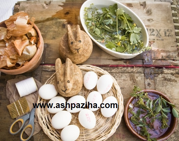 Design - egg - with - onion - Special - Nowruz - 95 - Series - VIII (2)