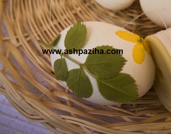Design - egg - with - onion - Special - Nowruz - 95 - Series - VIII (5)