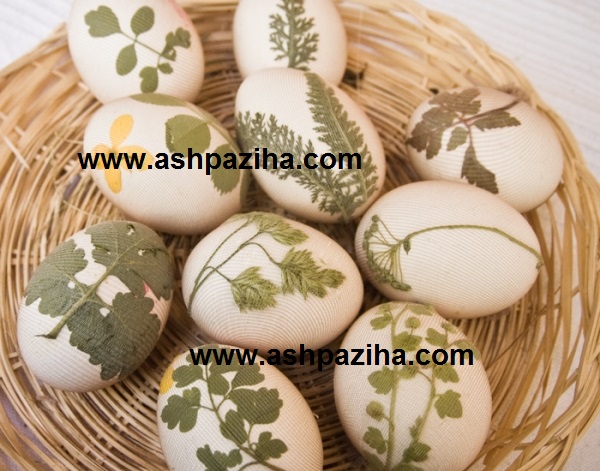 Design - egg - with - onion - Special - Nowruz - 95 - Series - VIII (9)