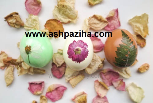Decoration - eggs - celebration - Nowruz - 1395 - Series - XII (3)