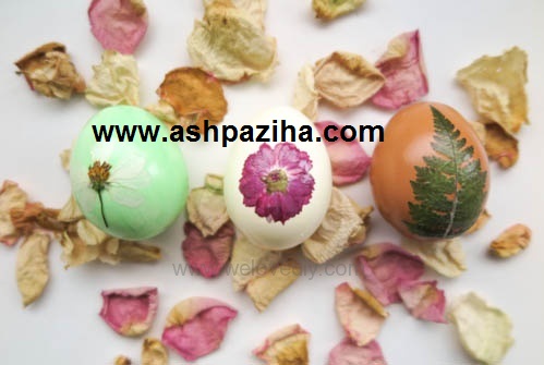 Eggs - colored - Nowruz - 1395 - Series - XVI (4)
