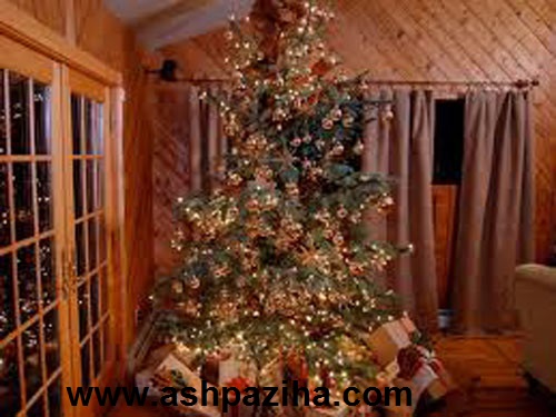Decoration - Tree - Christmas -2016- Series - First (2)