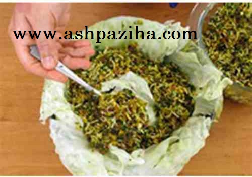How - Preparation - Vegetable - Cabbage - Templates - Photos (4)