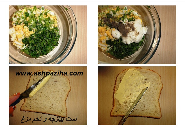 Directions - Test - chives - and - egg - teaching - image (2)