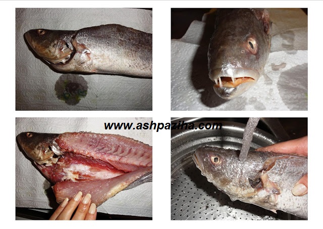 Mode - supplying - fish - especially - night - New Year (2)