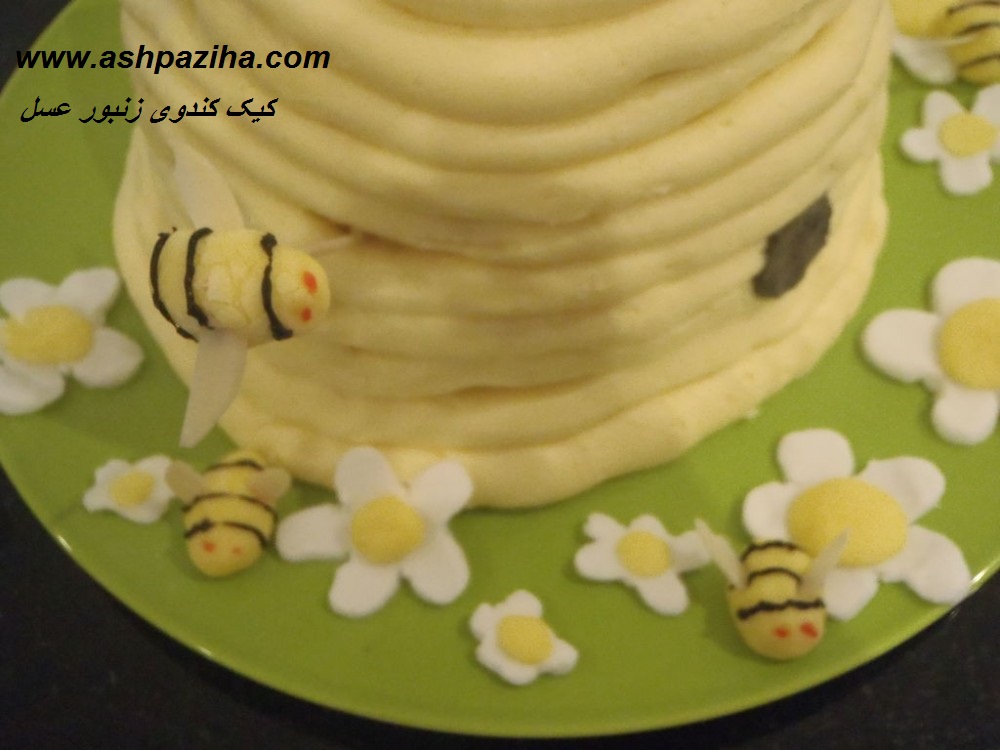Training - Decoration - cake - in - Figure - hive - Bee - Honey (15)