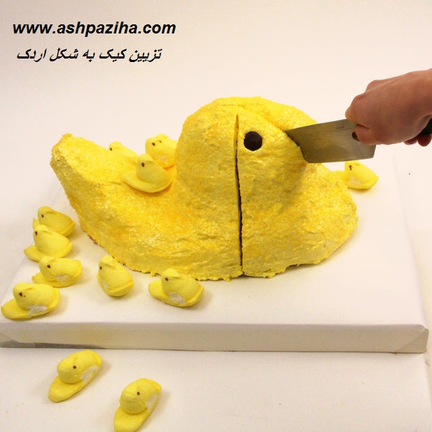 Training - Video - decoration - cake - in - Figure - Duck (21)