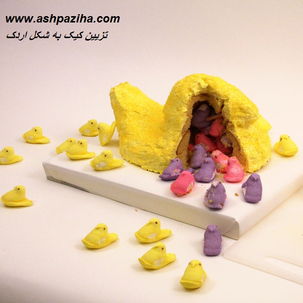 Training - Video - decoration - cake - in - Figure - Duck (23)