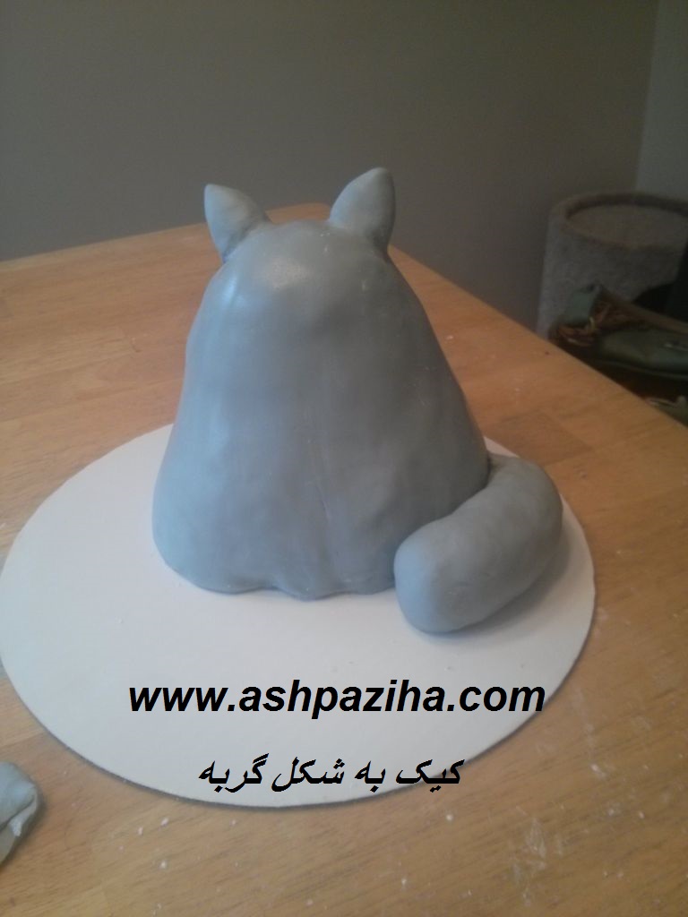 Training - image - A cake - the - cat (12)