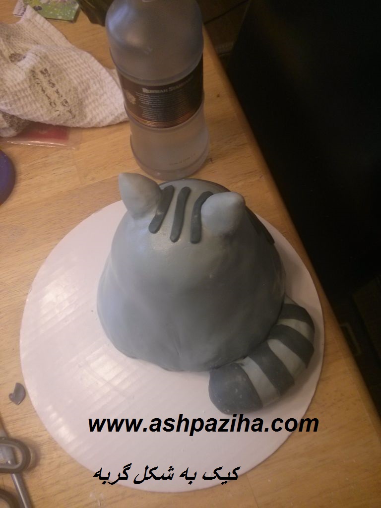 Training - image - A cake - the - cat (15)