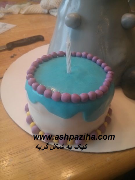 Training - image - A cake - the - cat (20)