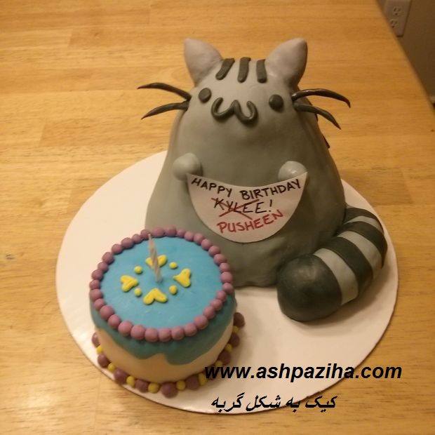 Training - image - A cake - the - cat (22)