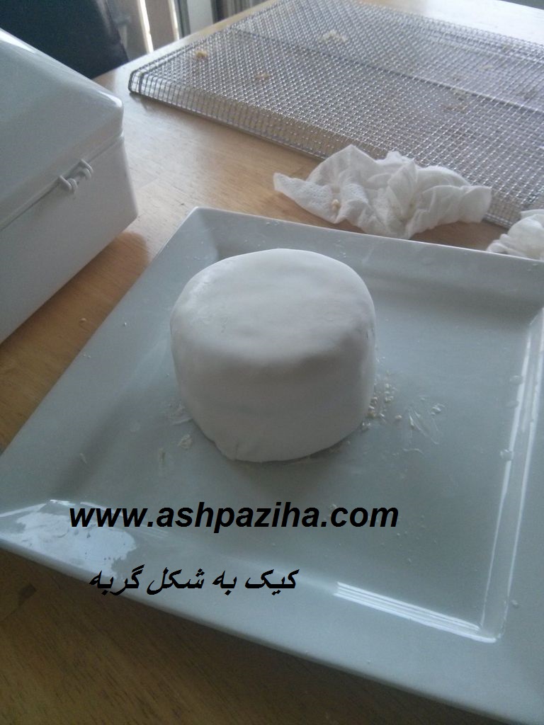 Training - image - A cake - the - cat (6)