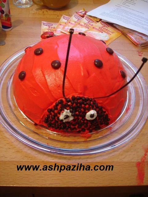 Decoration - dessert - to - shape - Ladybirds (10)