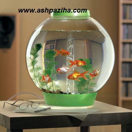 The most recent - decoration - tight - Fish - Spring 94 (2)