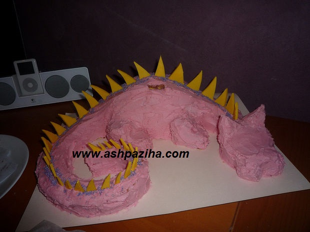 Training - image - decoration - cake - in - the - Dragon - Series - II (22)