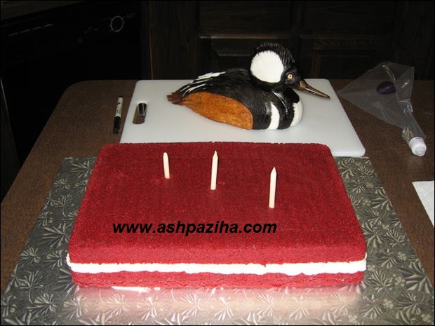 Training - image - decoration - cake - in - the - Duck (38)