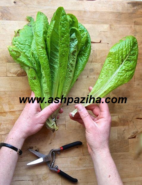 Tips - most important - fresh - Hold - to - vegetables - at - home (3)