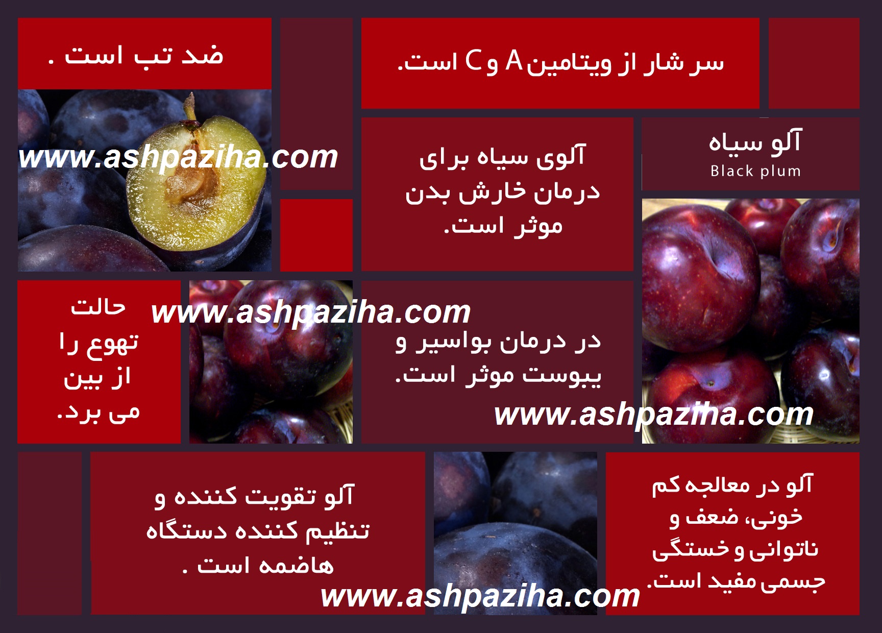 property - Nutrition - Prunus domestica (1)