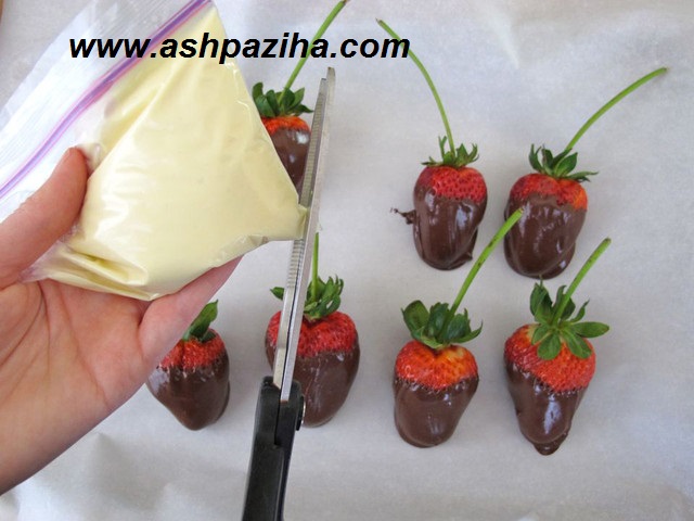 Training-decorated-fruit-with-chocolate-image (8)