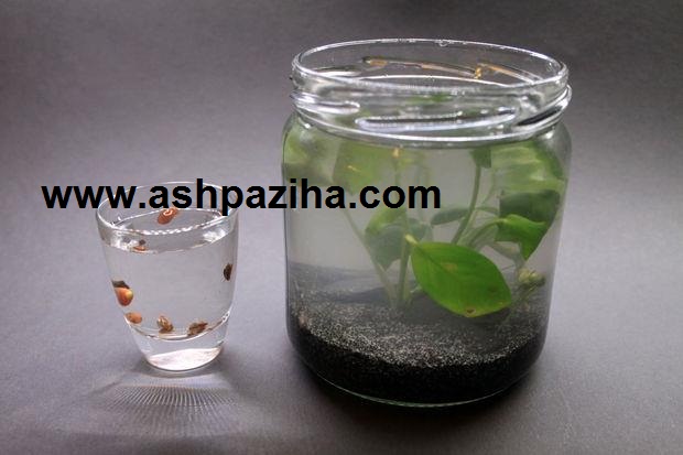 Training - image - Build - aquarium - in - glass bottle (8)