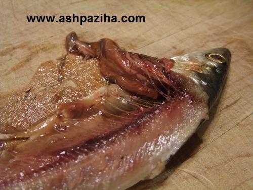 Education-cut -, - chopped-up-and-fillet-a-fish (7)