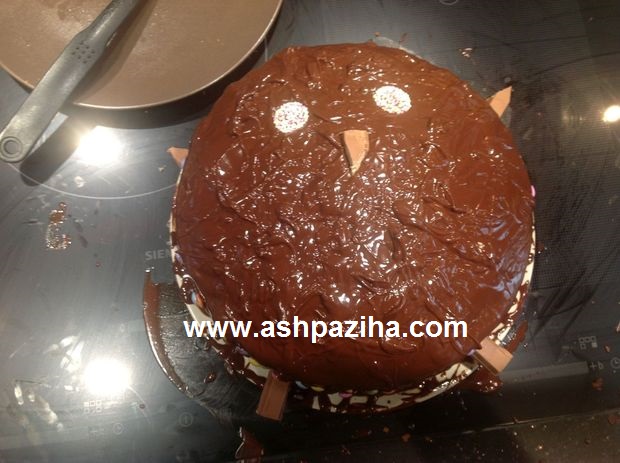 Training - step - the - step - decorated - cakes - as - owl (25)