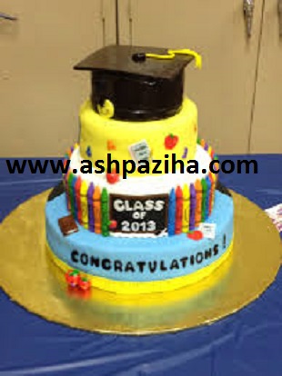 Cake - Design - by - especially - on - student (10)