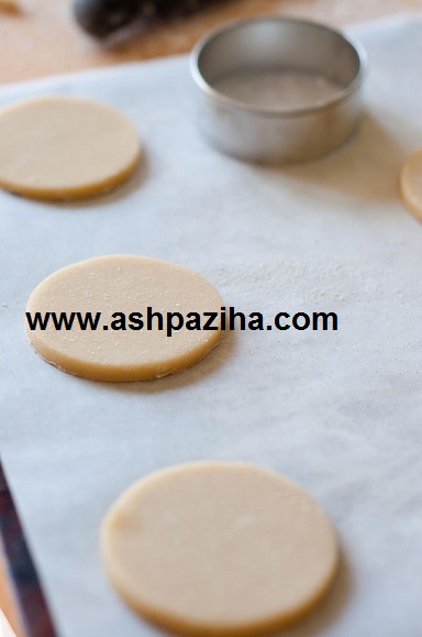 Design - and - Decorating - Biscuits - quite - Video - Series - fifty - and - four (5)