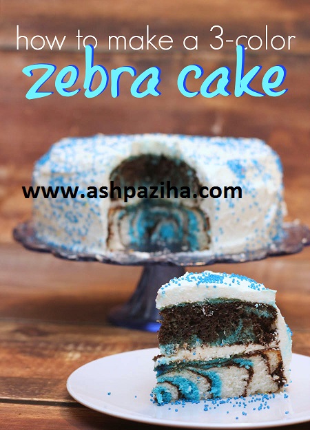 How - the - cake - Zebra - blue - zebra - video (2)