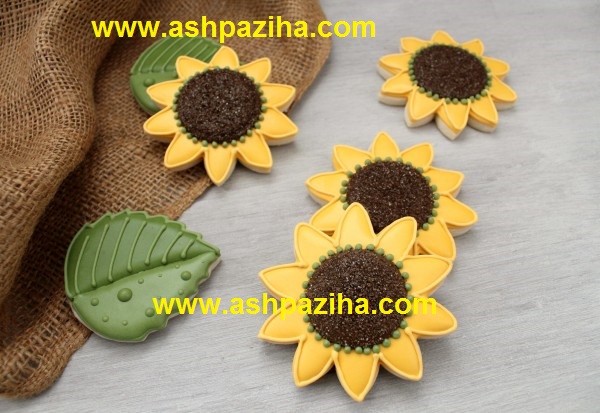 Training - image - Biscuits - Sun Flower - seventy - and - three (1)