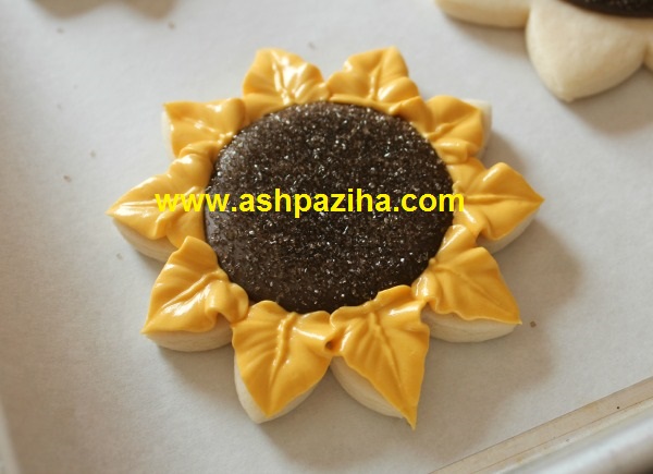 Training - image - Biscuits - Sun Flower - seventy - and - three (14)