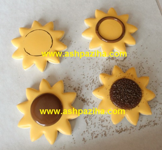 Training - image - Biscuits - Sun Flower - seventy - and - three (4)