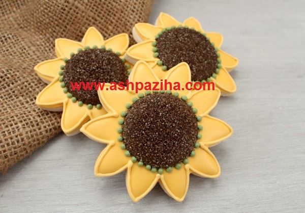 Training - image - Biscuits - Sun Flower - seventy - and - three (5)