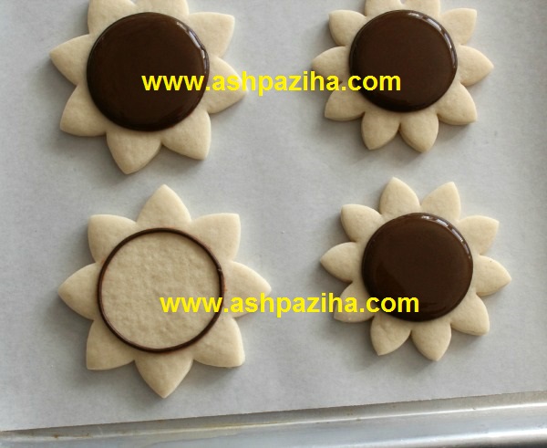 Training - image - Biscuits - Sun Flower - seventy - and - three (7)
