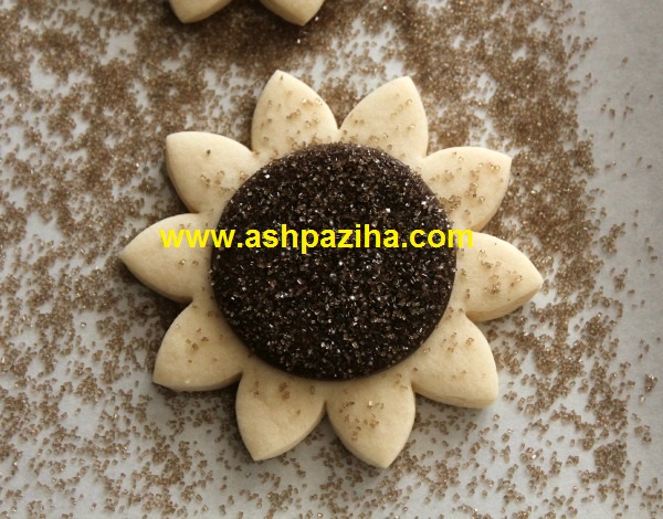 Training - image - Biscuits - Sun Flower - seventy - and - three (8)