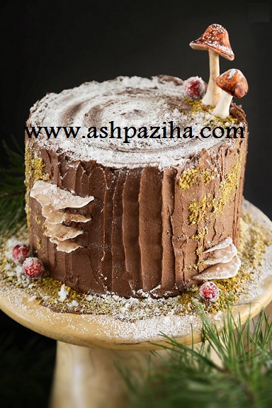 decorations-cake-with-cream-to-the-woods-image (4)