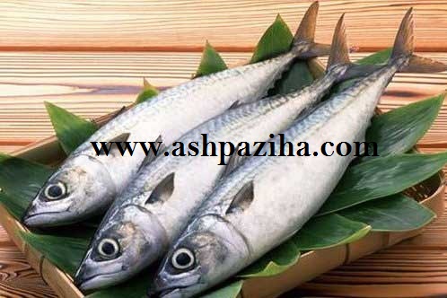 benefits-and-properties-consumption-meat-fish-2